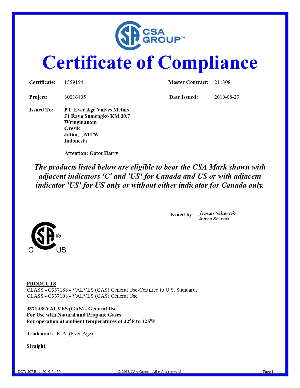 CSA-GAS VALVE